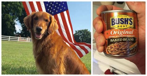 did the bush bean guy die|Talking Dog Duke Of Bushs Baked Beans Dies